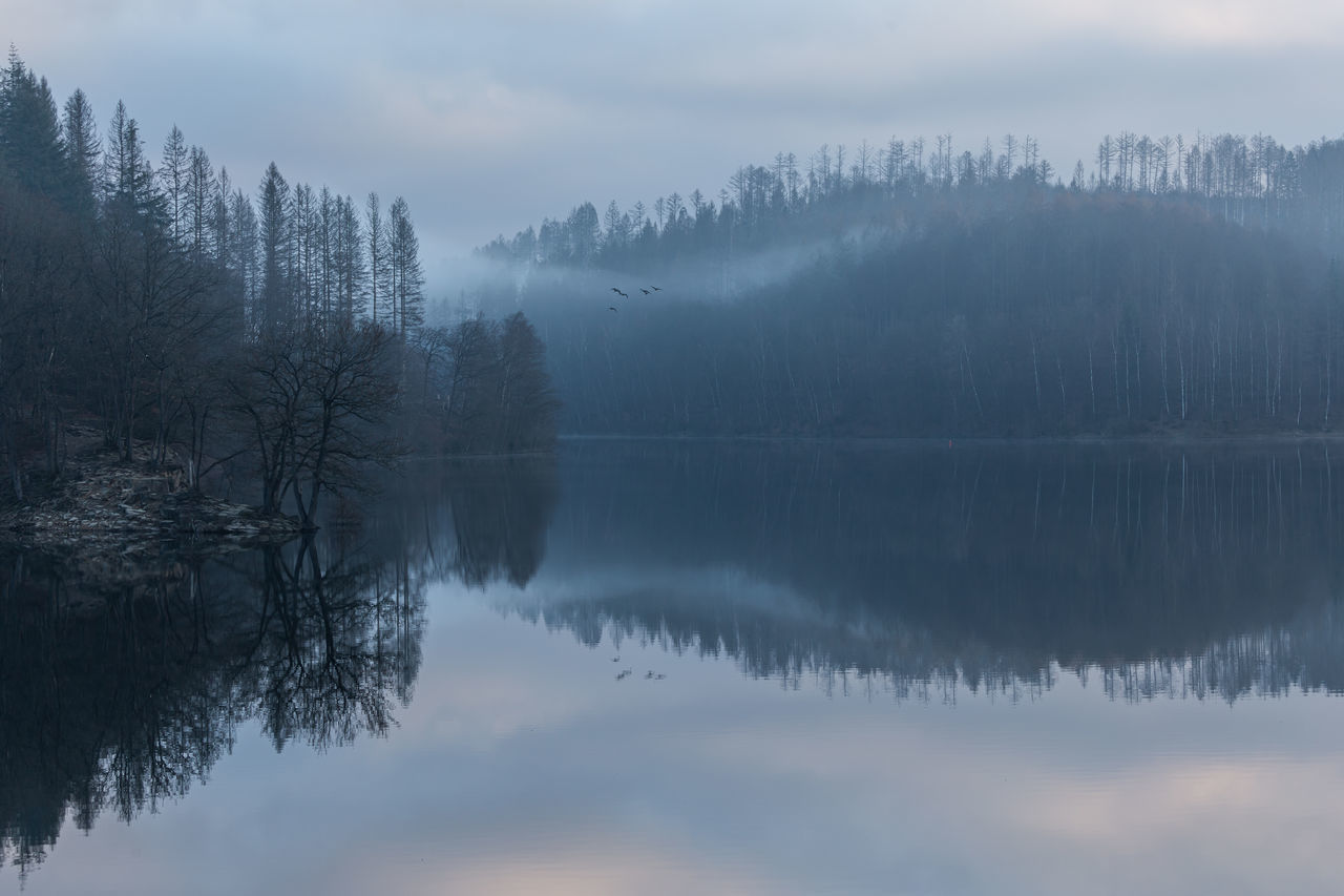 reflection, tree, water, mist, scenics - nature, lake, fog, tranquility, beauty in nature, tranquil scene, plant, nature, forest, morning, sky, winter, cloud, mountain, environment, no people, landscape, wilderness, non-urban scene, land, woodland, idyllic, coniferous tree, snow, pine tree, dawn, pine woodland, cold temperature, outdoors, travel destinations, body of water, pinaceae, twilight, day, remote