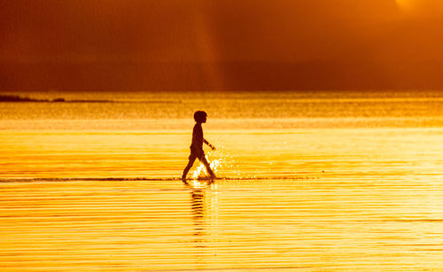 Silhouette man walking on beach against sky during sunset