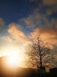 Low angle view of silhouette bare tree against sky during sunset