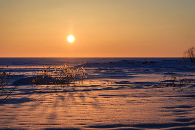 Scenic view of sea during sunset