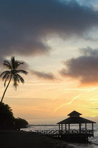 Silhouette palm trees on beach against sky during sunset