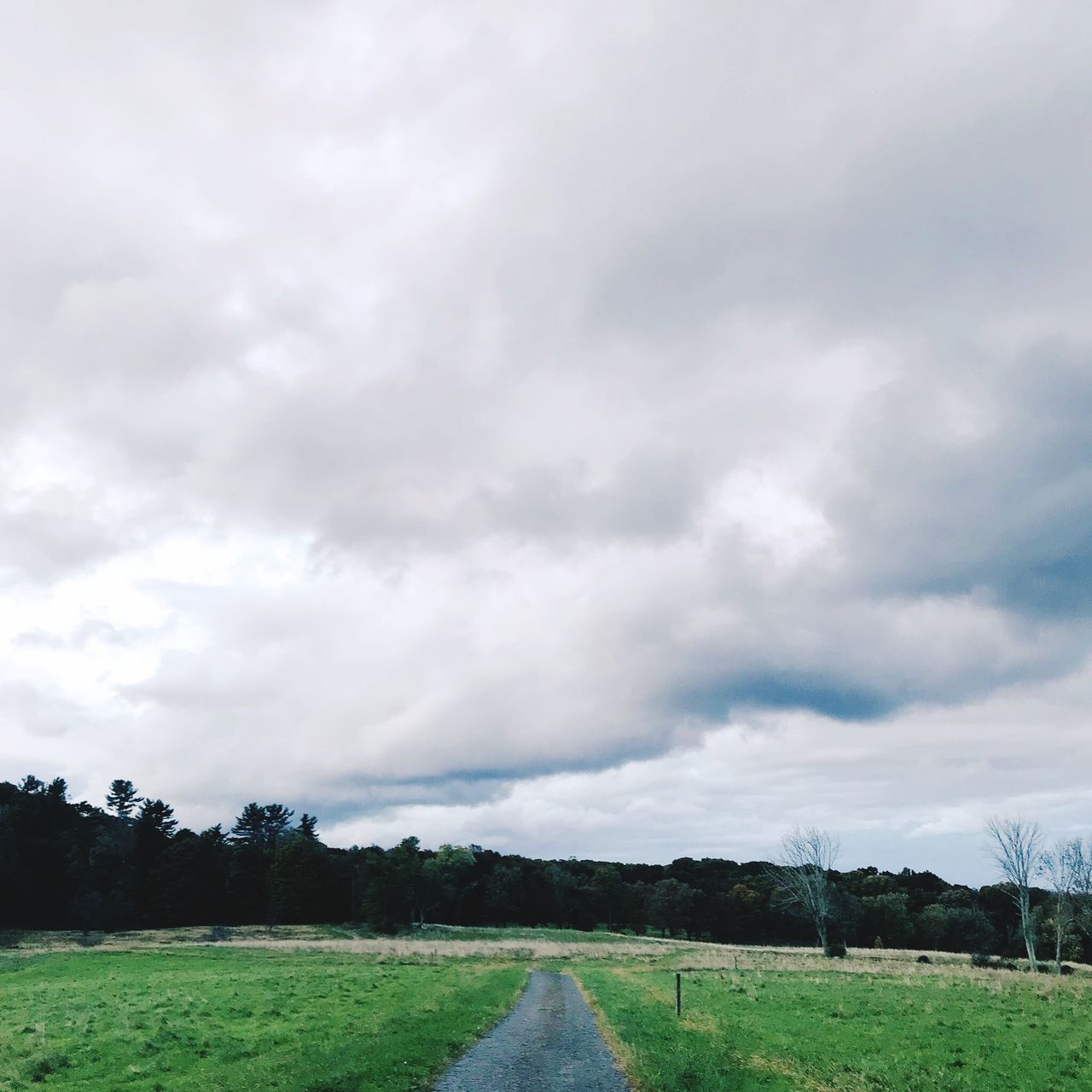 SCENIC VIEW OF LANDSCAPE