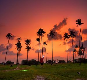 Silhouette palm trees at beach against orange sky