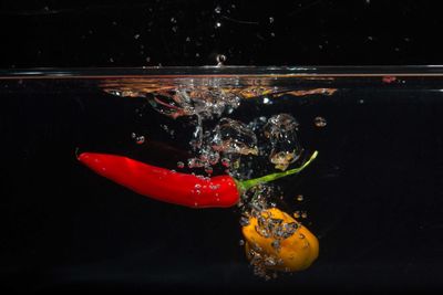 Peppers in water against black background