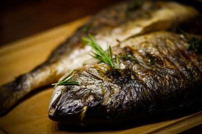 Close-up of dead fish on barbecue