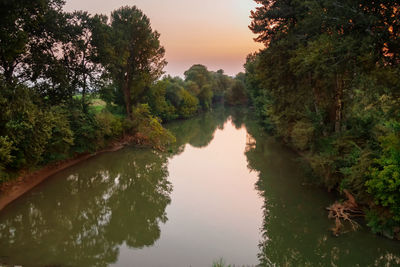 Scenic view of lake amidst trees against sky