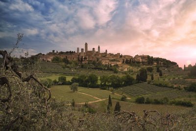 Medieval town of san gimignano surrounded by green tuscan vineyards