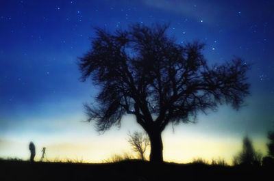 Silhouette of trees on field against sky at sunset