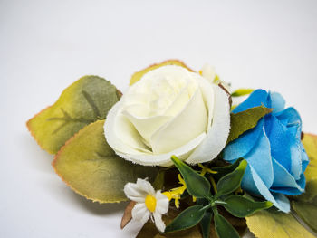 Close-up of white roses