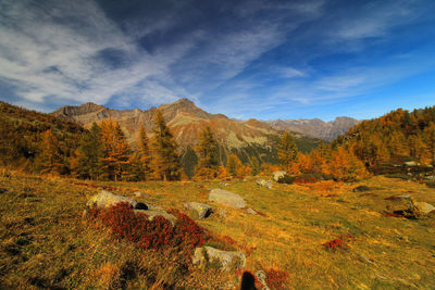 Scenic view of landscape against sky during autumn