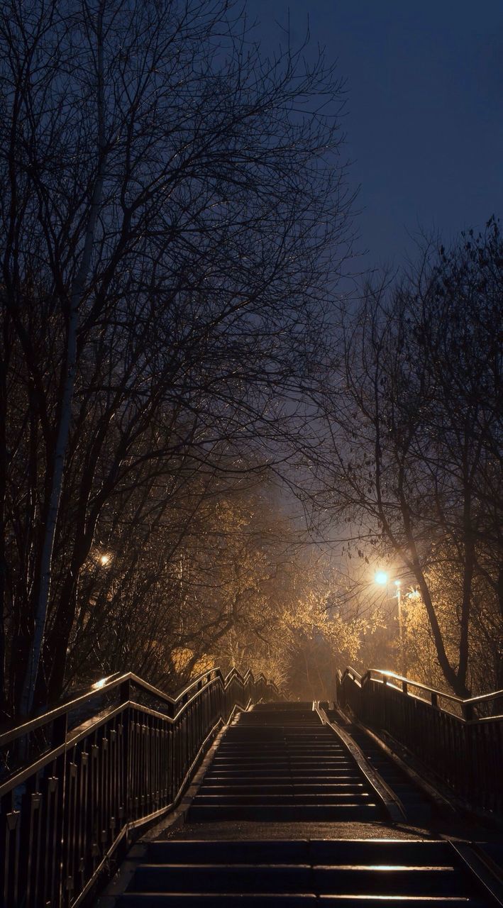 railing, tree, the way forward, outdoors, sky, bridge - man made structure, night, illuminated, no people, cold temperature, architecture