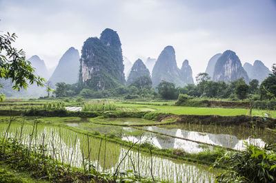 Scenic view of agricultural landscape against sky