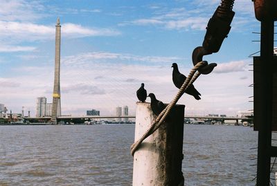 River in city against sky