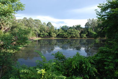 Scenic view of lake in forest against sky