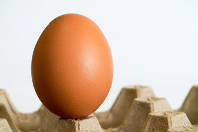 Close-up of eggs against white background