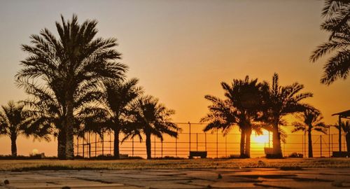 Silhouette palm trees on field against clear sky at sunset