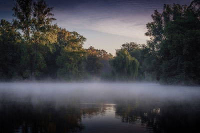 Scenic view of lake in forest against sky