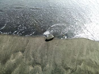 High angle view of crab on beach