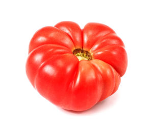 Close-up of tomatoes against white background