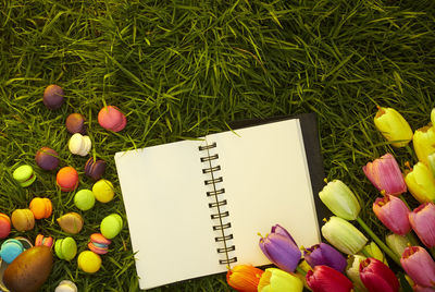 High angle view of multi colored tulips and macaroons with book on field