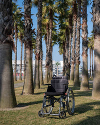 Empty wheelchair under palm trees on a sunny summer day. 