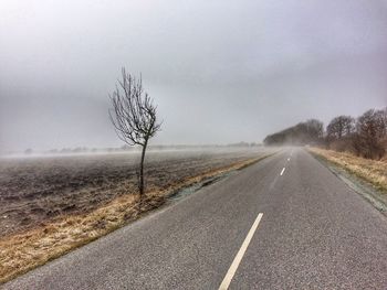 Road by bare tree against sky