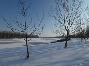 Bare tree on snow covered landscape against sky