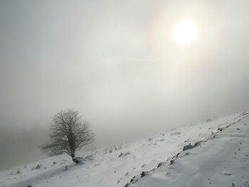 Scenic view of snow covered land against bright sun