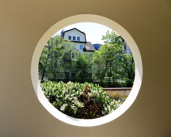 Trees against house seen from manhole in wall