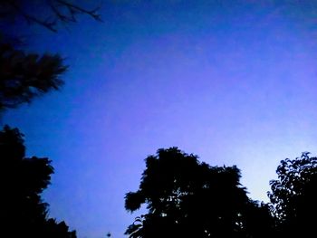 Low angle view of silhouette trees against sky at night