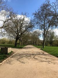 Empty road along bare trees in park