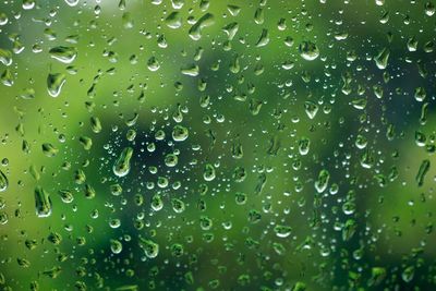 Full frame shot of wet raindrops on grass