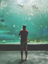 Rear view of man standing in aquarium