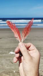 Midsection of person holding leaf at beach