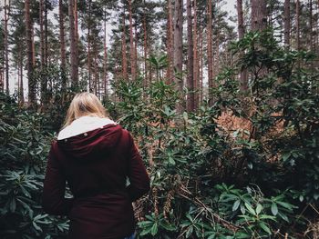 Rear view of man standing in forest