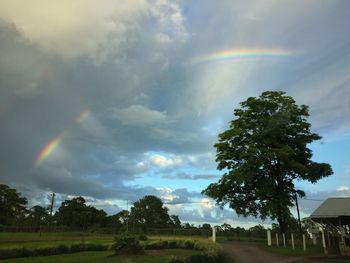 Scenic view of rainbow over trees against sky