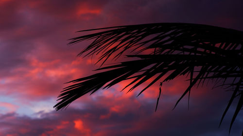 Low angle view of silhouette tree against romantic sky