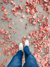 Low section of man standing on autumn leaves