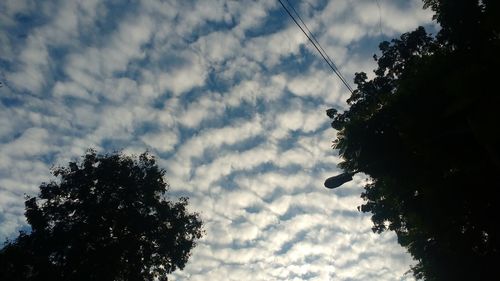 Low angle view of silhouette tree against sky