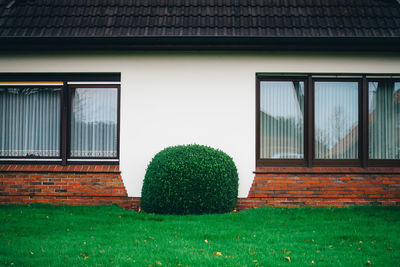 View of lawn in lawn