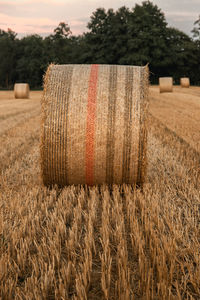 Straw bales in a field at sunset