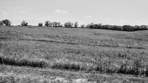 Scenic view of field against sky