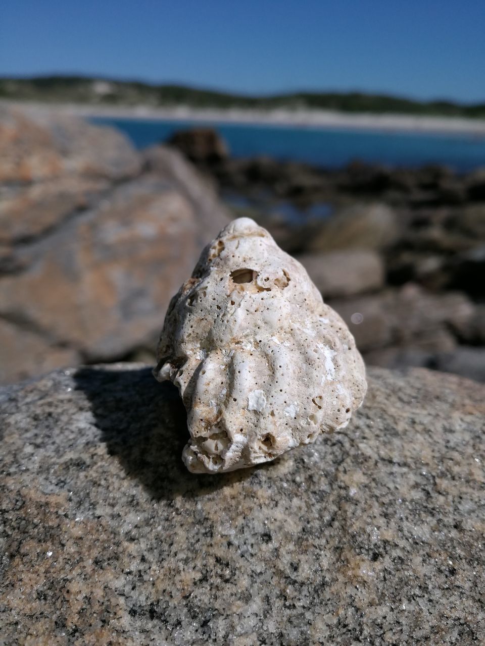 rock - object, nature, beach, sea, outdoors, day, tranquility, no people, close-up, water, sand, beauty in nature, scenics, sky
