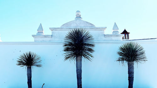 Low angle view of palm trees against blue sky