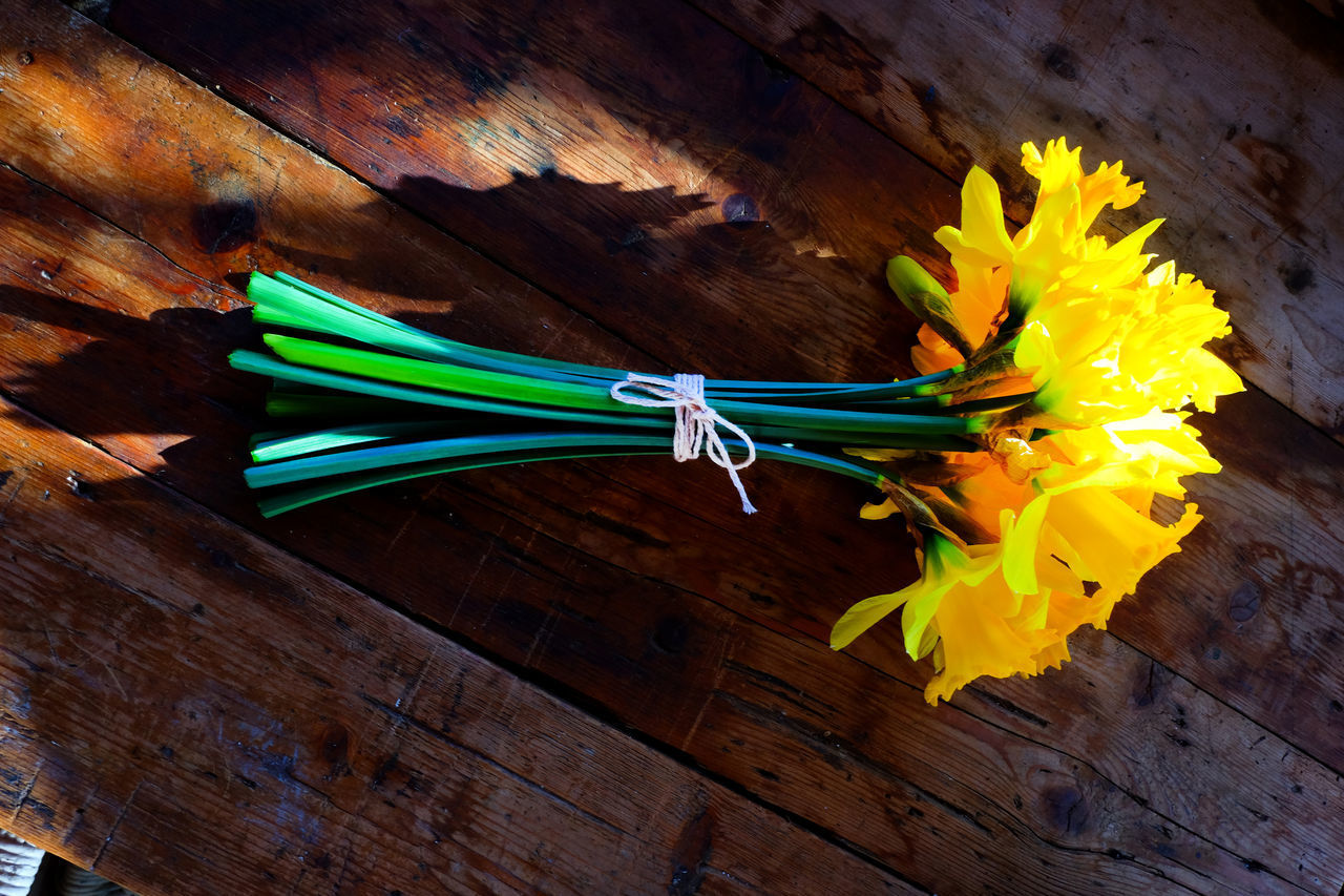 HIGH ANGLE VIEW OF YELLOW TIED UP