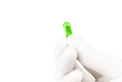 Close-up of hand holding leaf over white background