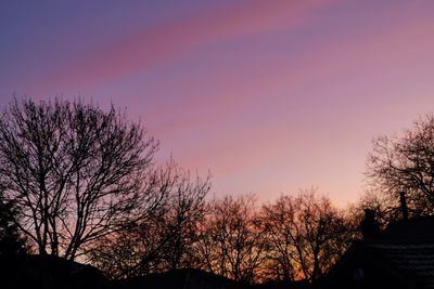 Low angle view of silhouette trees against sky at sunset