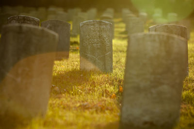 Close-up of cross in cemetery