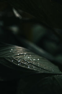 Full frame shot of raindrops on windshield