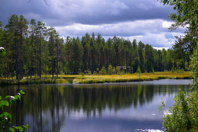 Scenic view of lake in forest against sky